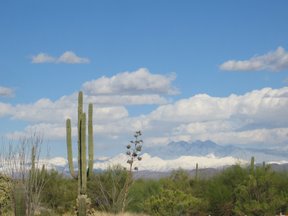 IMG_3971